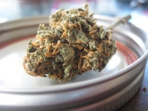 dry herb vaping