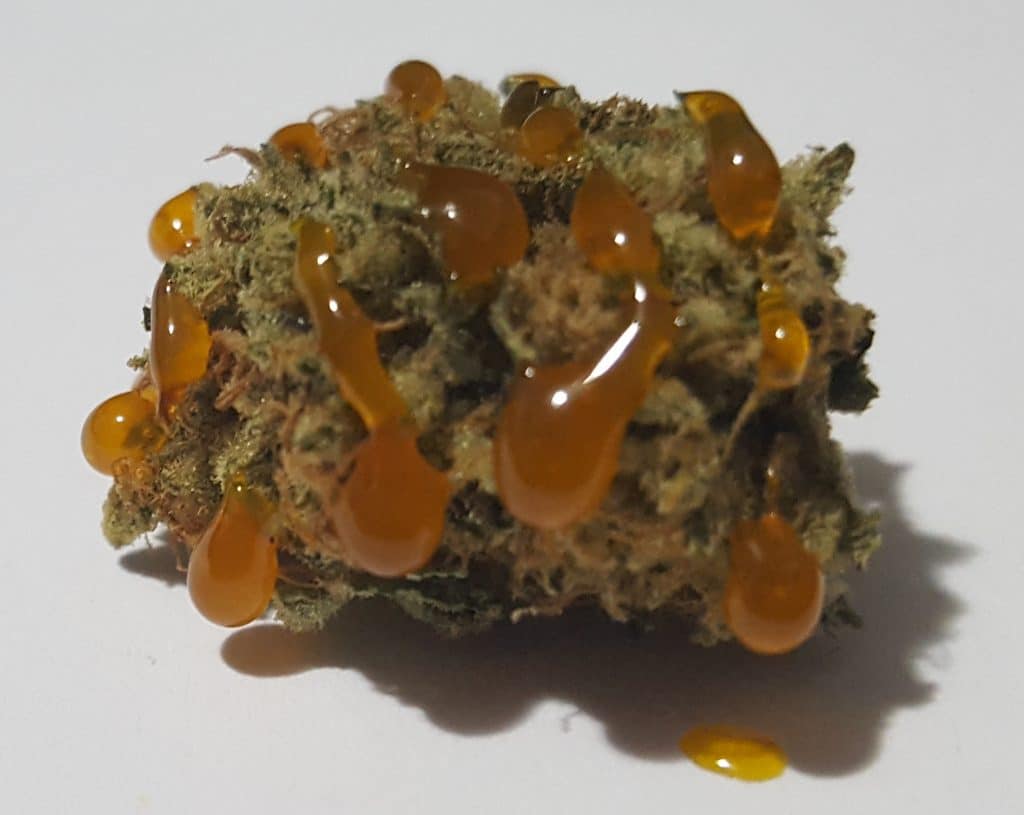 cannabis nug with oil drops