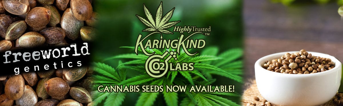 Boulder Cannabis Seeds