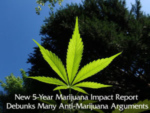 Dec7-5-year-marijuana-impact-report