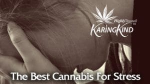 best-cannabis-for-stress
