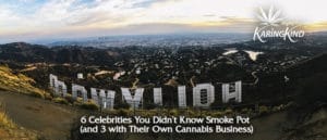 celebrities-who-smoke-pot-own-cannabis-business