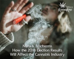 midterms-and-midterms