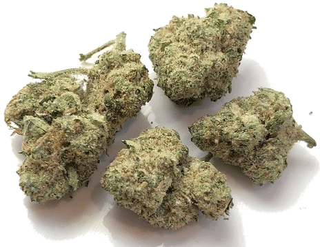 Karing Kind Strain of the Week Boulder Colorado