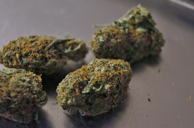 Cannabis-nugs