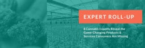 Expert Roll-up Banner - game-changing products