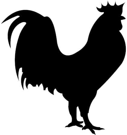 Rooster Logo