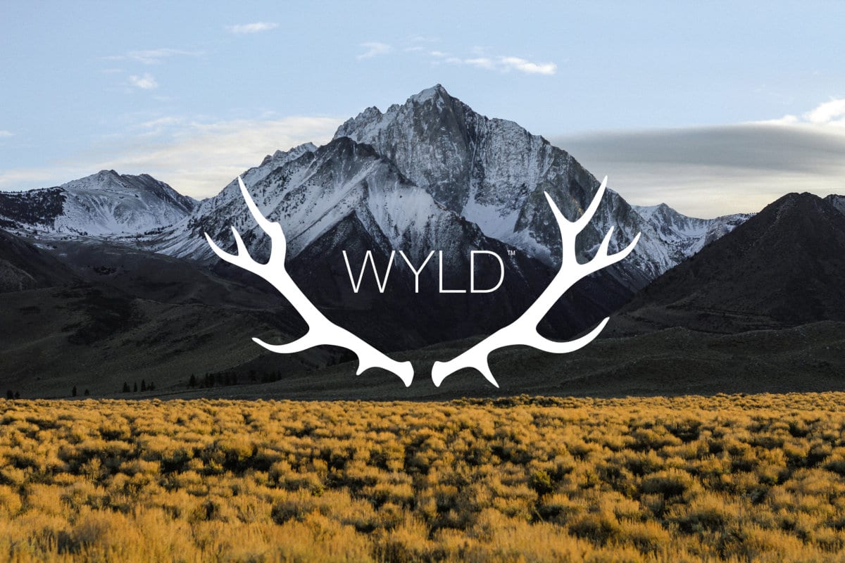 WYLD Lifestyle Photo