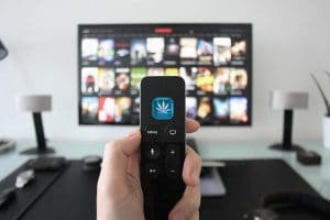 Netflix Releases 12 Marijuana Strains Based on Shows