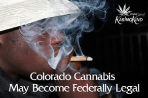 Colorado Cannabis May Become Federally Legal