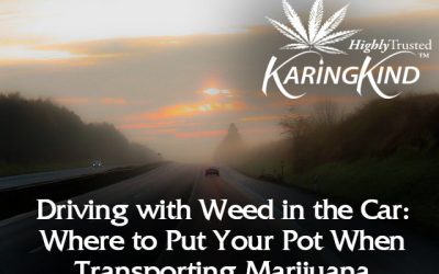 Driving with Weed in the Car: Where to Put Your Pot When Transporting Marijuana