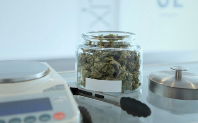 What to Know Before Your First Visit to a Dispensary in Boulder