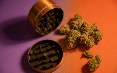 Top Tips for Storing Marijuana to Keep It Fresh