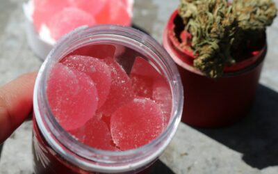 Why Cannabis Edibles Affect People Differently