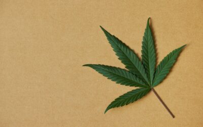 Keeping Marijuana Flower Potent and Fresh