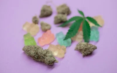 Crafting the Ultimate Cannabis-Friendly Party: Tips and Tricks for a Memorable Celebration