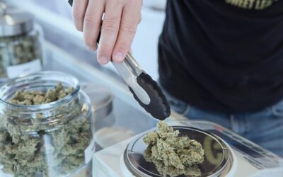 Discover What Makes Lyons Dispensary Unique
