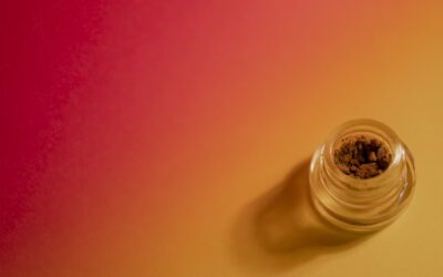 Keep Cannabis Fresh in Summer Heat