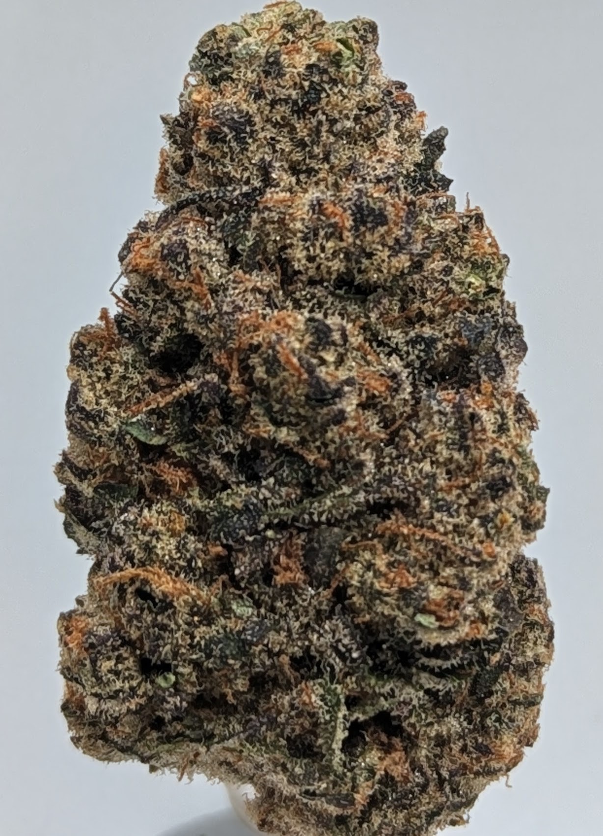 Grape Cream Cake