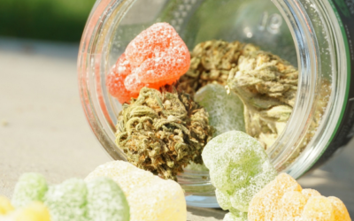 How to Choose the Right Cannabis Strain for Your Needs