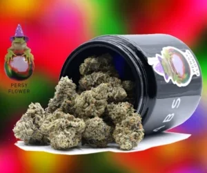 How to Store Cannabis Flower to Keep It Fresh: Complete Guide